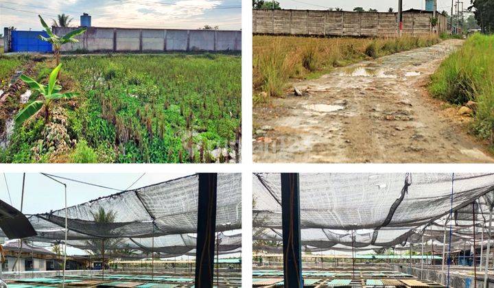 Dijual Kavling Lampung Selatan, Lampung, 40x100 M², SHM 1