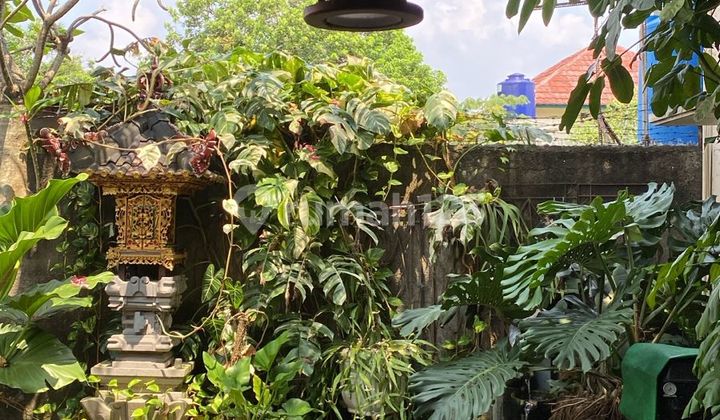 Lenteng Agung Rumah Asri Bisa Utk Kantor Lenteng Agung Rumah Asri Bisa Utk Kantor