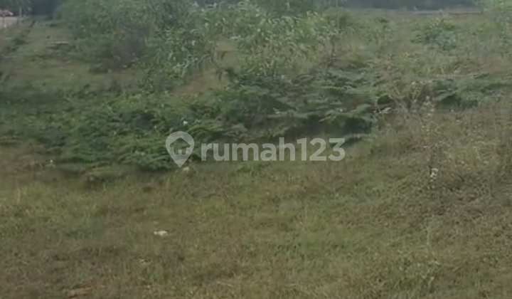 Bebas Banjir, Tanah, Dekat Akses Tol