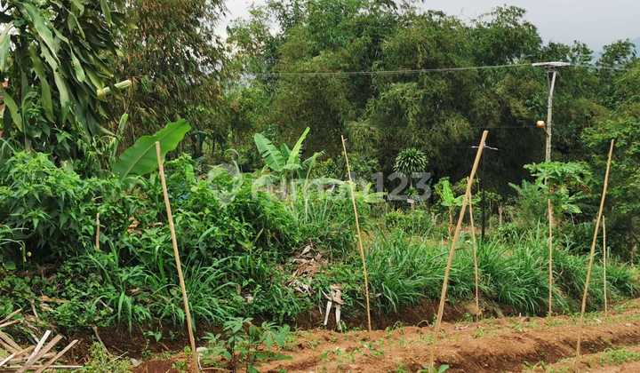 Kavling View Indah Di Puncak Luas 1 Hektar Cocok Untuk Resort
