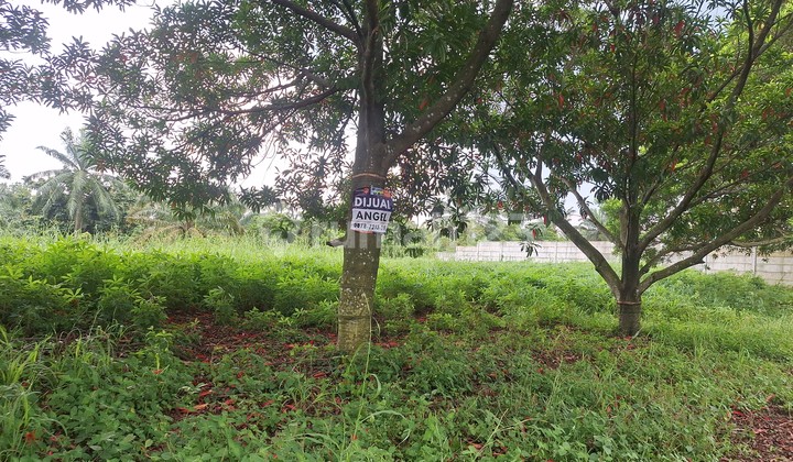 Selling Plot in Telaga Kahuripan. Bogor Regency