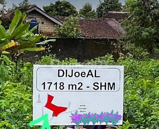 Jual tanah perkebunan di Ciapus, Bogor 1