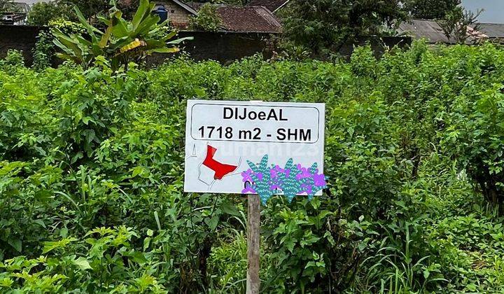 Jual tanah perkebunan di Ciapus, Bogor 2