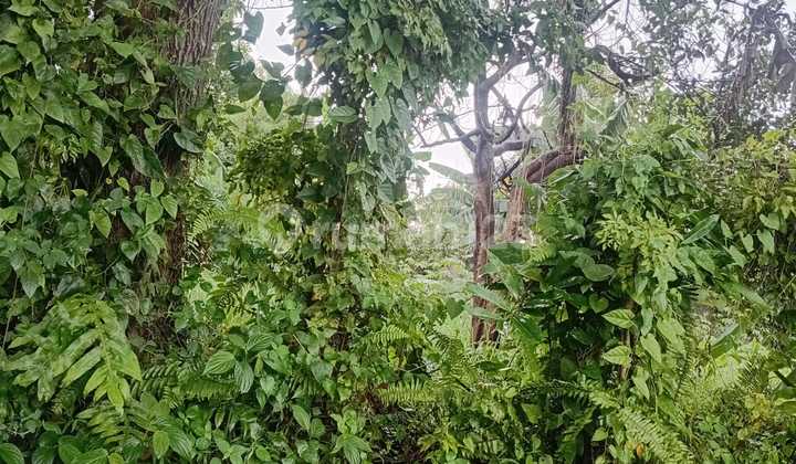 Jual Tanah.di.kota Batu,.ciomas