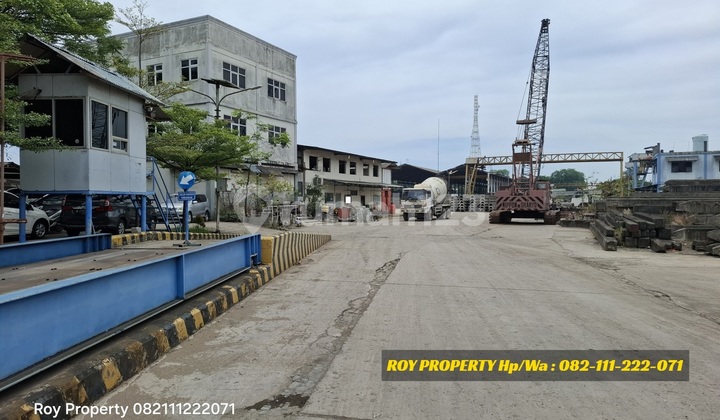 Dijual Cepat Tanah di Cakung Cilincing 4 Ha Nego Sampai Jadi Dijual Cepat Tanah di Cakung Cilincing 4 Ha Nego Sampai Jadi