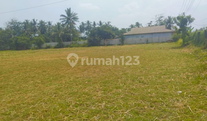 Dijual Cepat Tanah Di Panimbang Pandeglang Banten 1.5 Ha Pinggir Jln Utama Murah 5