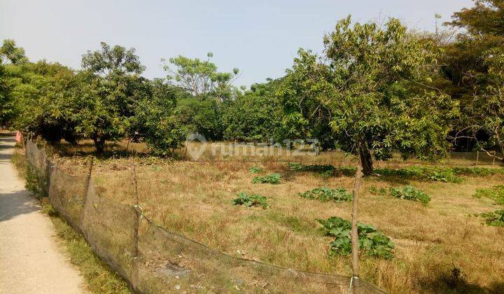 Termurah Dijual Tanah di Pakisjaya Karawang 4.950 M2 Pingir Jalan 2