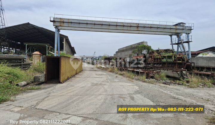 Dijual Cepat Tanah di Cakung Cilincing 4 Ha Nego Dibawah NJOP Dijual Cepat Tanah di Cakung Cilincing 4 Ha Nego Dibawah NJOP
