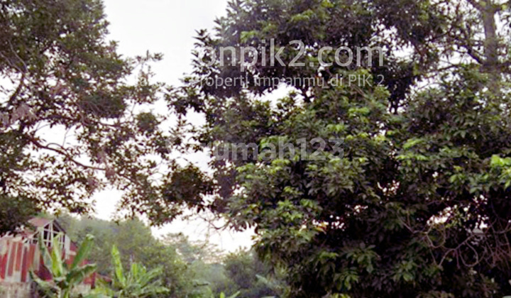 Jual Tanah Sentul City 2000 M2 Desa Cipambuan Untuk Pabrik Dan Gudang