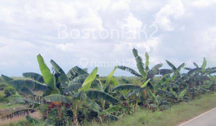 Jual Kavling Tanah Industri 20 Ha 1000x200 Kawasan Ekonomi Khusus Kek Tanjung Api Api Palembang Sumatera Selatan 2