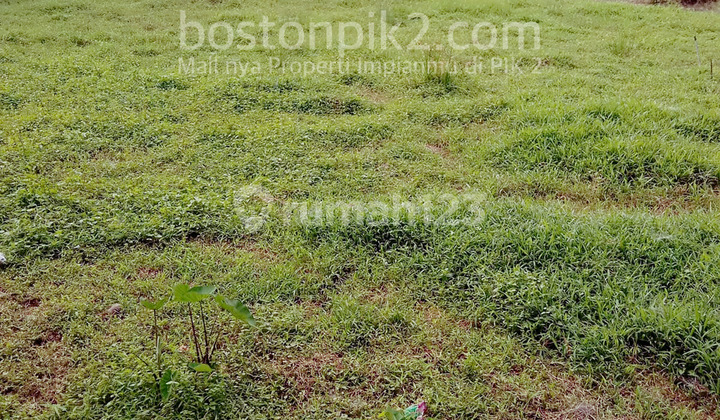 For Sale: 10,000 M2 (1 Ha) Land in Cikupa, Former Computer Paper Factory Nangkolanda, Tangerang, Next to Fanbo Cosmetic For Sale: 10,000 M2 (1 Ha) Land in Cikupa, Former Computer Paper Factory Nangkolanda, Tangerang, Next to Fanbo Cosmetic