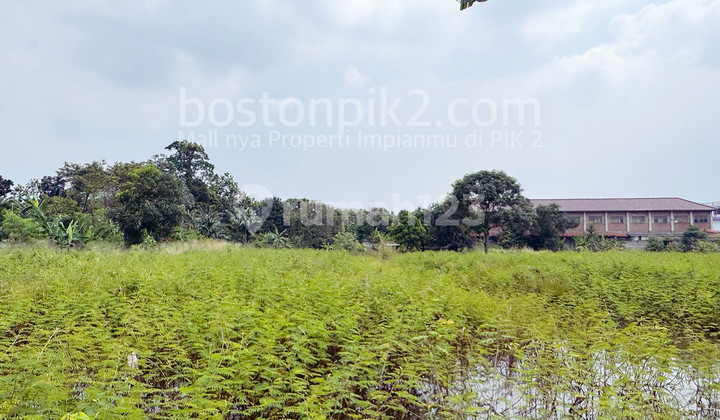 For Sale 6000 M2 Land Plot on Jl Raya Nigrat Legok Manungtung Tangerang For Housing and Villa Homes For Sale 6000 M2 Land Plot on Jl Raya Nigrat Legok Manungtung Tangerang For Housing and Villa Homes