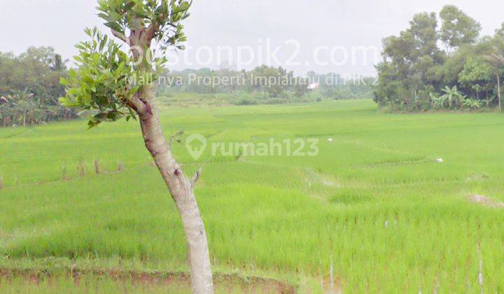 Jual Tanah Kavling 25 Ha 250.000 M2 Untuk Perumahan Jl Curug Badak Lebak Banten Samping Citra Maja Raya City 1