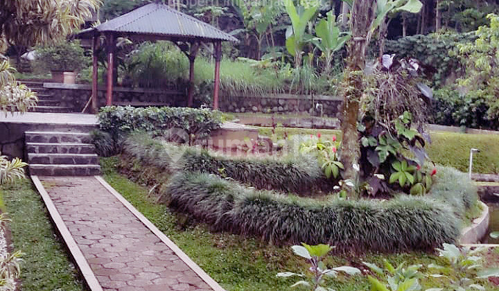 Installment Sale 24 Million or 4.2 Billion for a 2500 Sqm Villa, Serene and Beautiful in Desa Sukajadi, Tamansari, Ciapus, Bogor - Sell Villa 2500 Sqm Desa Sukajadi Tamansari Ciapus Bogor