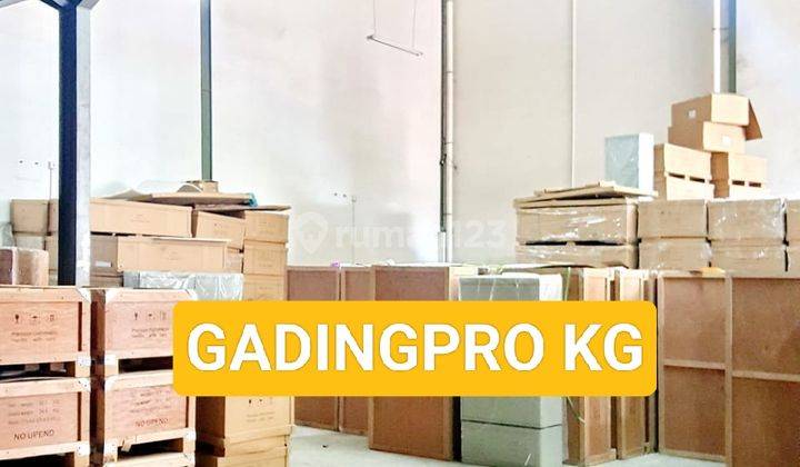Dijual dan disewakan Gudang di Jln plumpang semper Raya 824 m 11