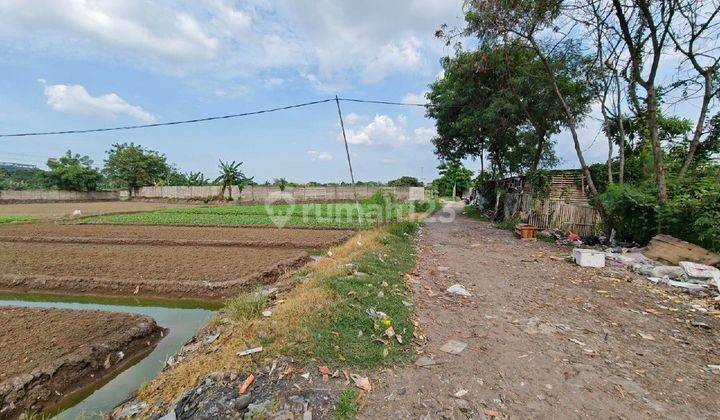 Tanah di Jln. Pembangunan Tangerang Banten 3920 m² 2