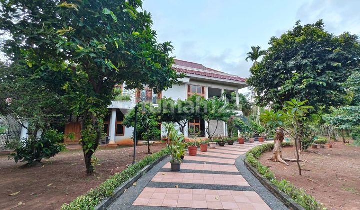 Rumah Huk ada swimming pool di danau sunter