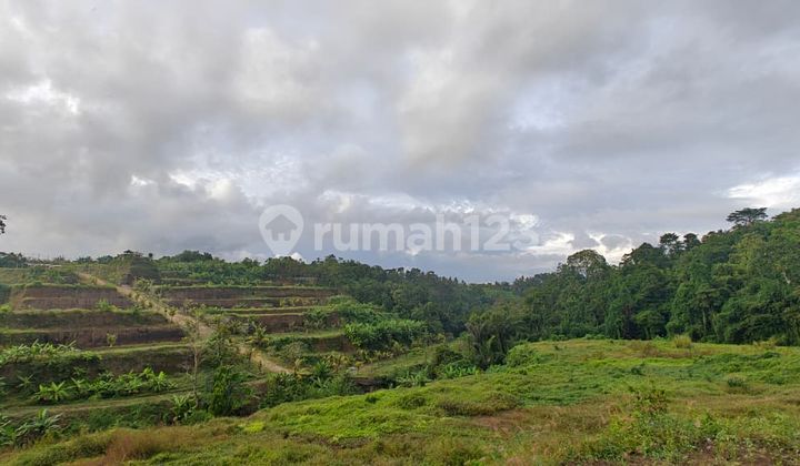 Rumah Baru SHM di Tabanan 2