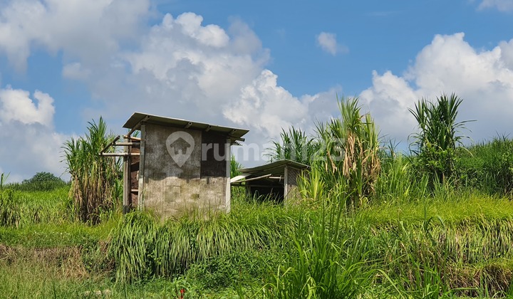 Luas Tanah 250m² Di Ubud, Singakerta Bali. Zona Kuning