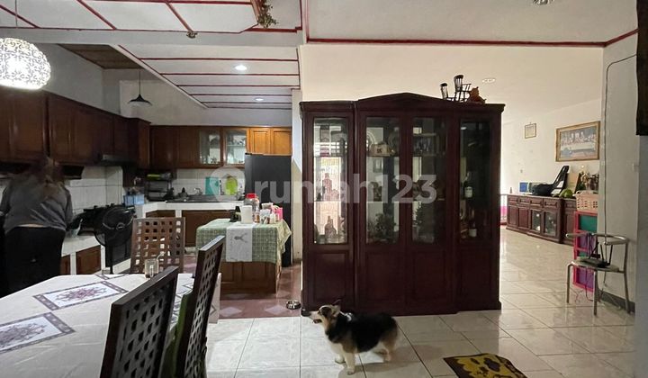 Rumah Di Jakarta Pusat Gg : Kelinci 1