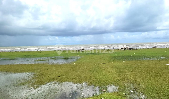 Tanah di Jln Raya Panimbang, Desa Tegal, Papak, Banten