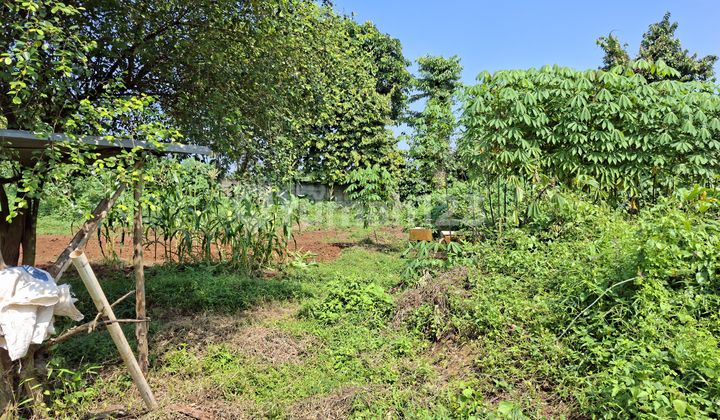 Land for quick rent on Jl Rancaiyuh Legok, strategic location. Land for quick rent on Jl Rancaiyuh Legok, strategic location.