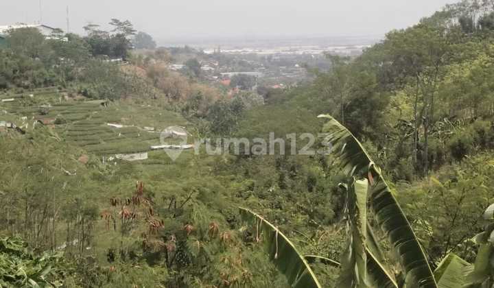 Dijual Tanah di Semarang bebas banjir zona industri 