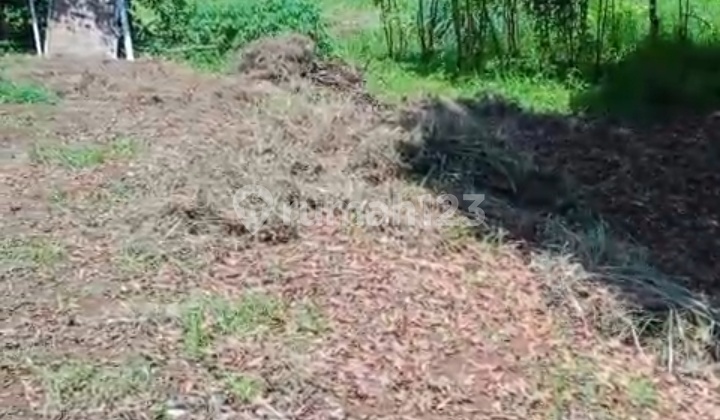 Tanah Harga Miring Pinggir Jalan Raya ,Harga Miring , 20 Menit ke Lebak Bulus