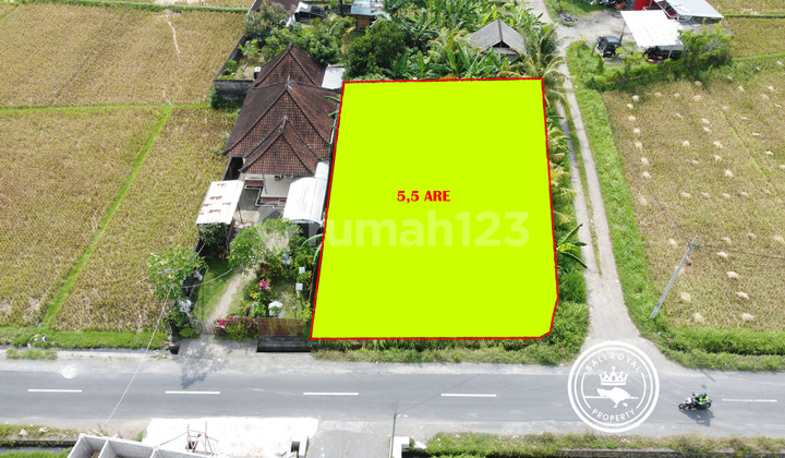 Tanah SHM 550 m2 Nyitdah, Tabanan pinggir jalan utama Tanah SHM 550 m2 Nyitdah, Tabanan pinggir jalan utama
