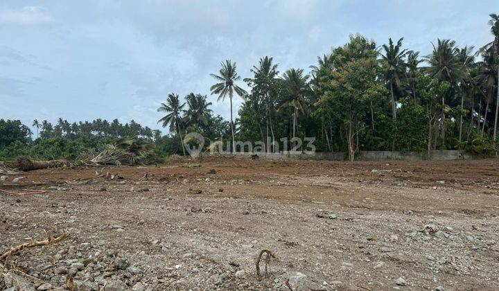 Tanah Di Jln Raya Denpasar - Gilimanuk gumrih Jembrana  2