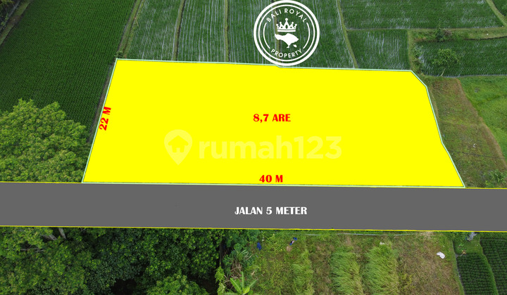 Tanah 870 m2 SHM Tanah Lot, Tabanan dekat Luna Beach Club