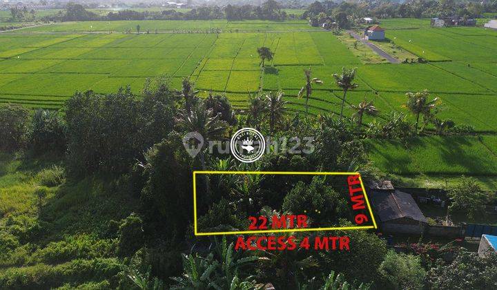 Land with Rice Field View in Menua Nyitdah Suitable for Villa 2