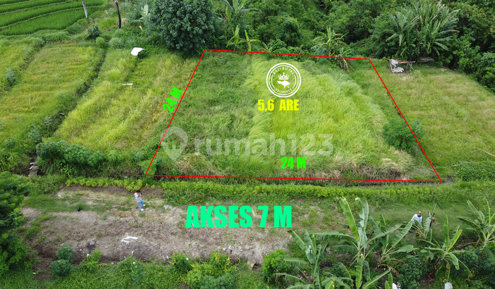 Land 560 m2 Hut, Tabanan near Yeh Gangga