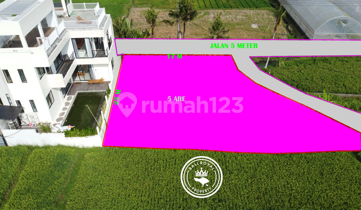 Land 500 m2 Kedungu, Tabanan near the beach Land 500 m2 Kedungu, Tabanan near the beach