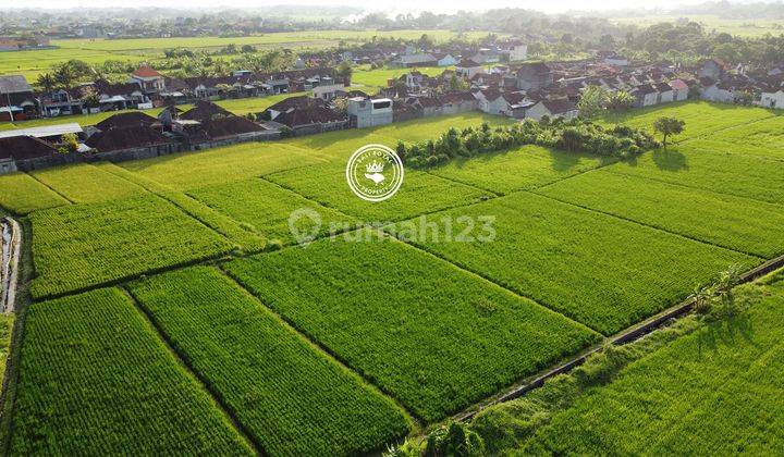 DIJUAL – TANAH 4 ARE ZONA KUNING VIEW SAWAH & GUNUNG 1