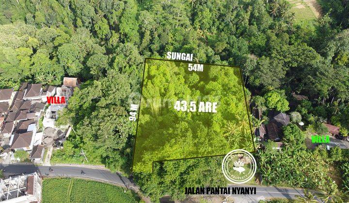 Tanah pinggir jalan pantai nyanyi los sungai 1