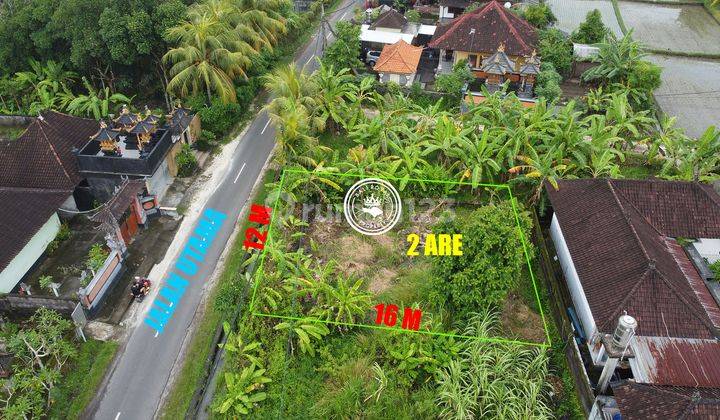 Tanah Pinggir Jalan Utama Pantai Kedungu Harga Murah 2