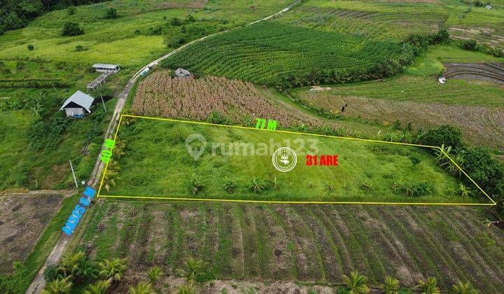 Tanah Impian di Megati, Tabanan View Spektakuler 2