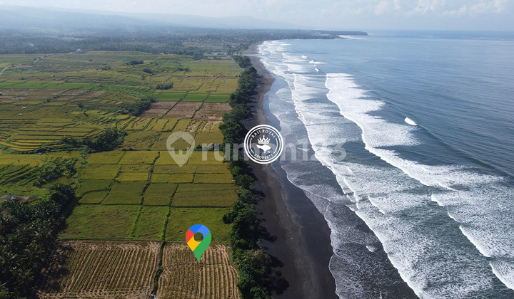 Tanah 16740 m2 Medewi, Jembrana los pantai