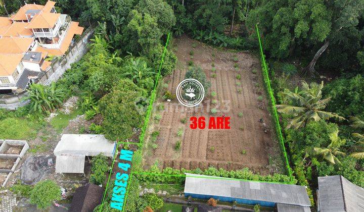 KESEMPATAN LANGKA! DIJUAL TANAH 36 ARE – PINGGIR SUNGAI, VIEW HUTAN, SUASANA ALAM YANG TENANG  1