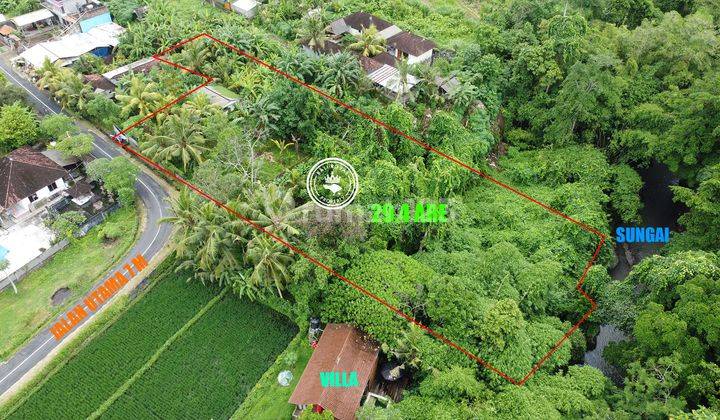 Tanah Langka 2940 M² Dekat Kedungu Harga Murah, View Alami, Lokasi Strategis  1