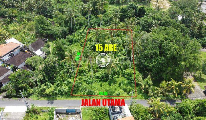 Tanah Pinggir Jalan Utama Bongan Tabanan Cocok Buat Tempat Usaha 1