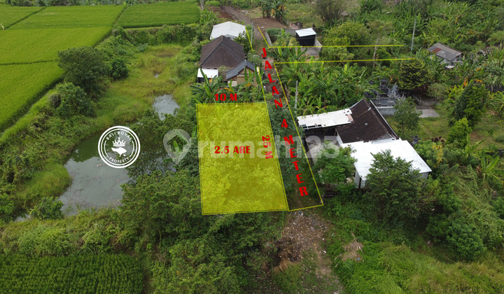 Tanah 250 M2 Nyitdah, Tabanan view sawah