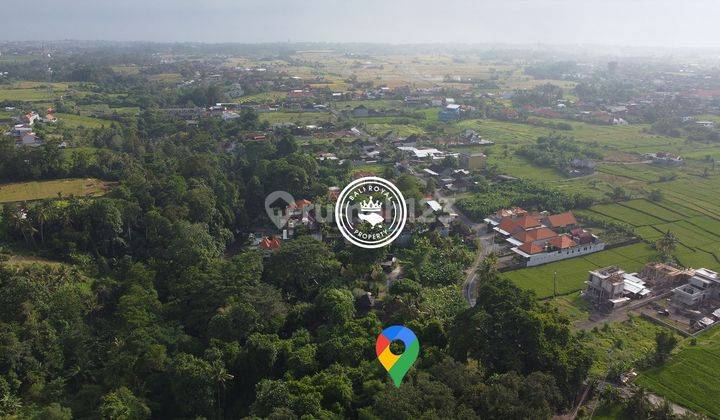 Tanah pinggir jalan pantai nyanyi los sungai 2