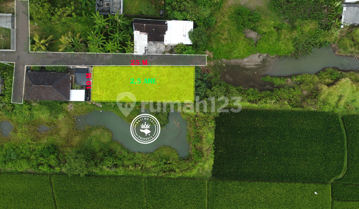 Tanah 250 M2 Nyitdah, Tabanan view sawah