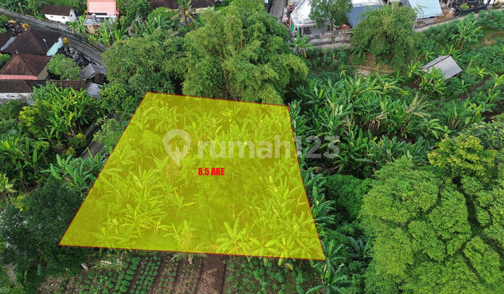 Dijual Tanah Zona Pariwisata Dekat Tanah Lot