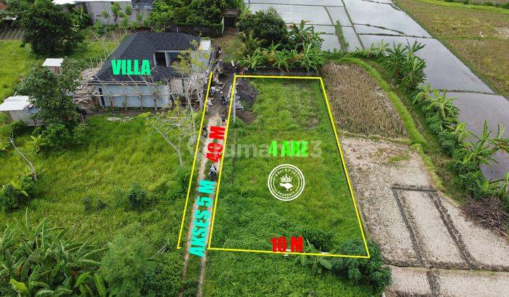 Tanah View Sawah Zona Kuning Dekat Pantai Kedungu 2