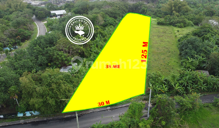 Tanah 3800 M2 Jl. Pantai Nyanyi Tanah Lot Tabanan dekat pantai 