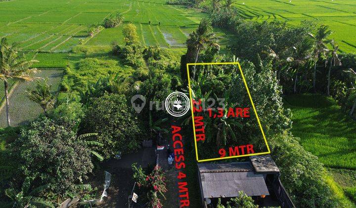 Land with Rice Field View in Menua Nyitdah Suitable for Villa 1