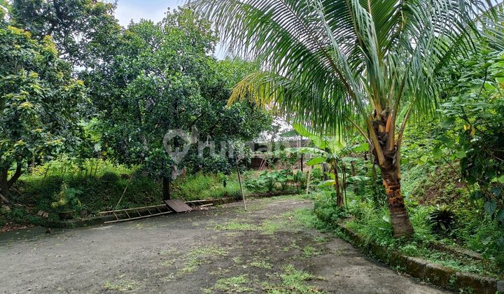 Rumah Etnik Vila Duta Bogor Best Viewharus Terjual Rumah Etnik Vila Duta Bogor Best Viewharus Terjual